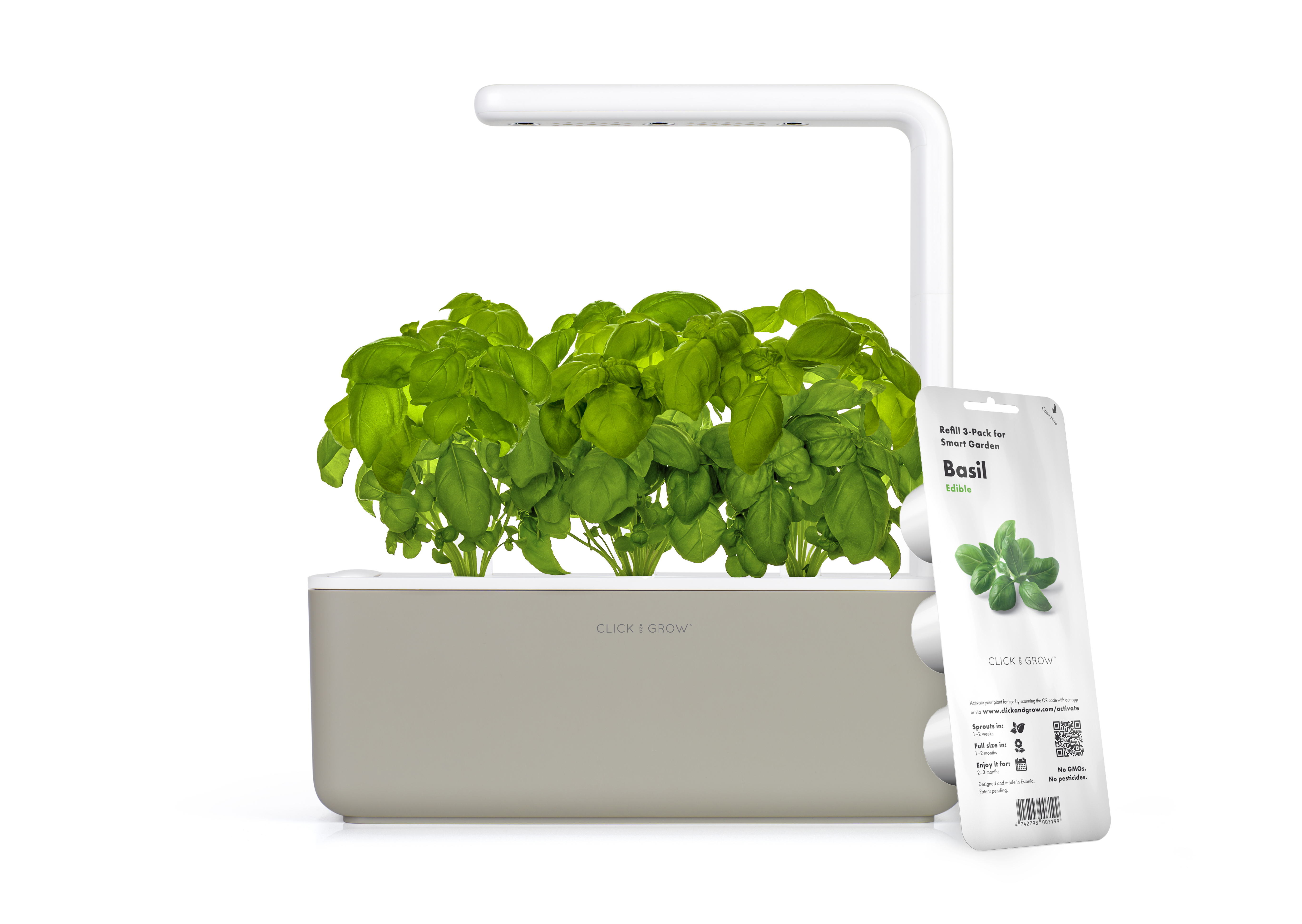 SG3 Beige Basil 3-pack